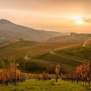 Hotel Morgana | Gallery